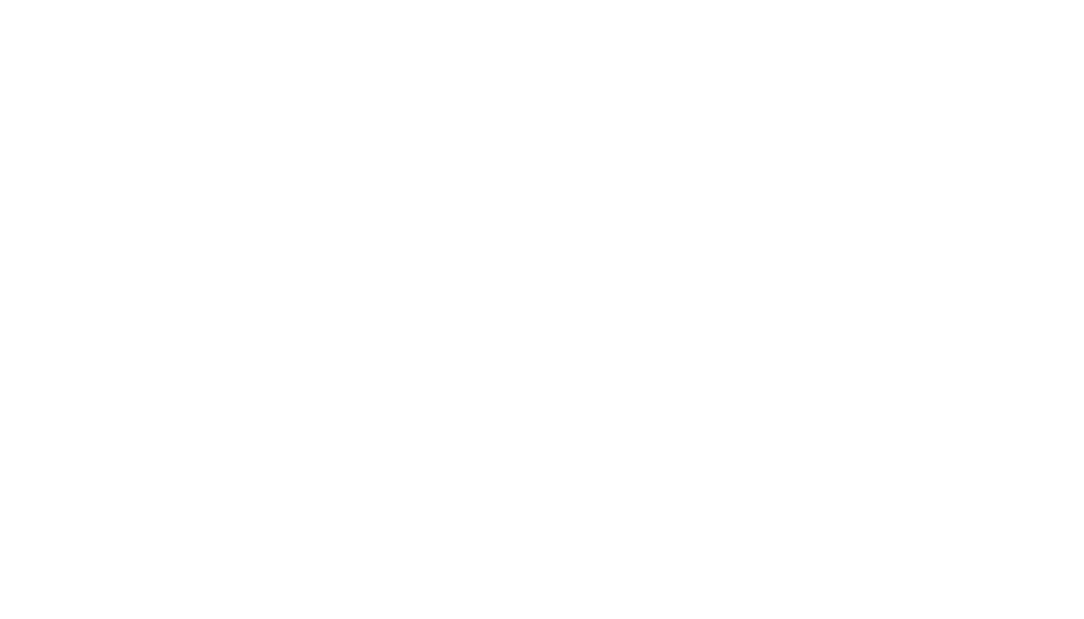 Collars Dog Resort